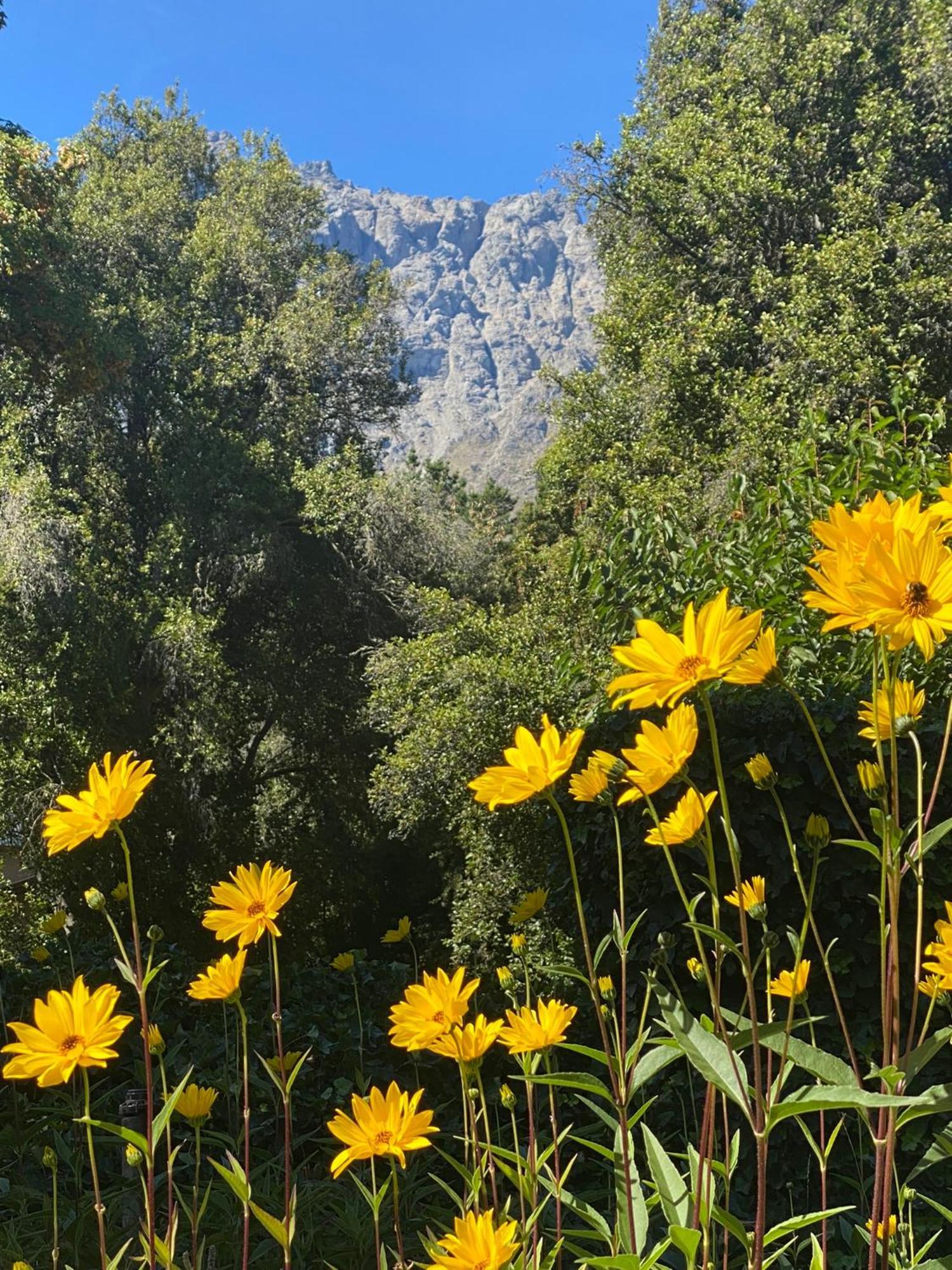 Altos Del Sur Cabanas De Montana El Bolsón Dış mekan fotoğraf