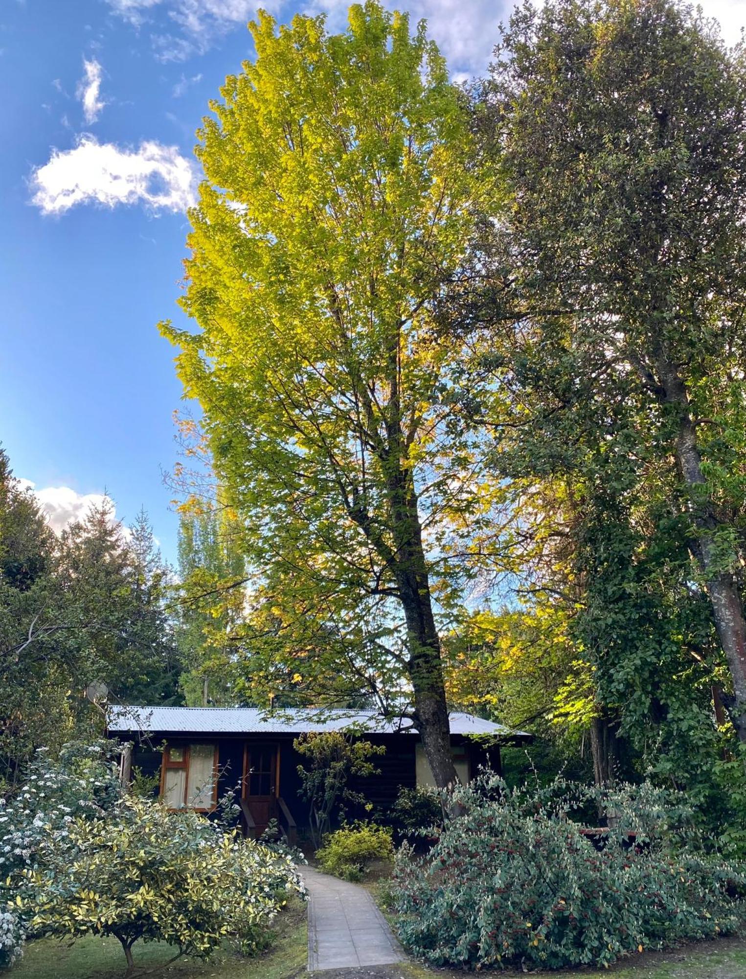Altos Del Sur Cabanas De Montana El Bolsón Dış mekan fotoğraf
