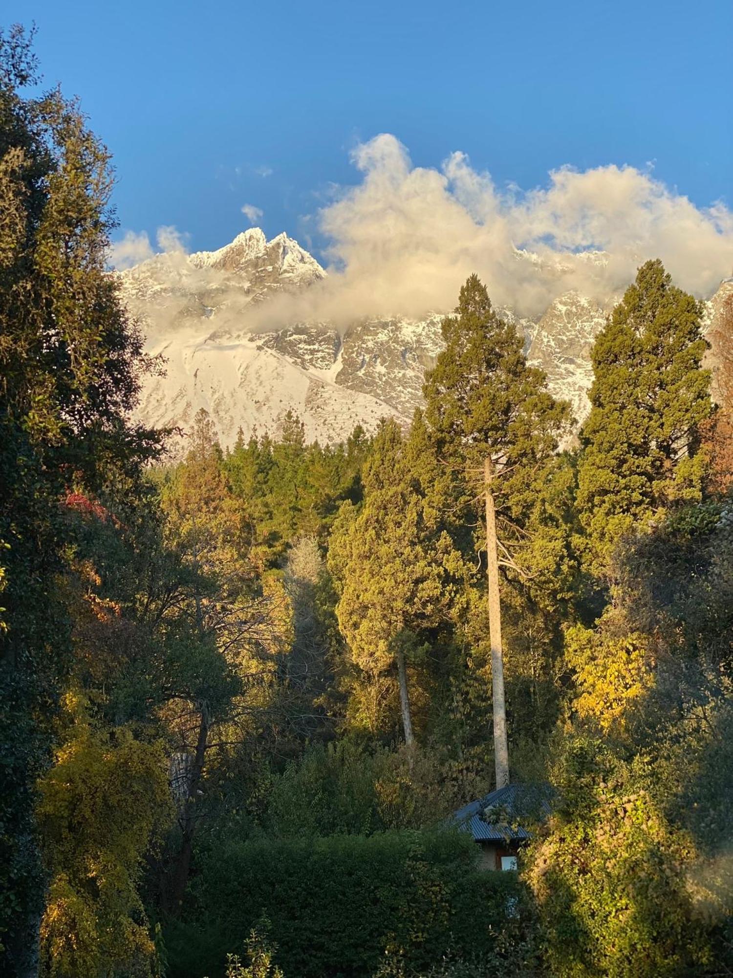 Altos Del Sur Cabanas De Montana El Bolsón Dış mekan fotoğraf