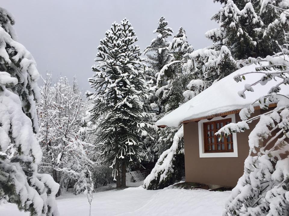 Altos Del Sur Cabanas De Montana El Bolsón Dış mekan fotoğraf